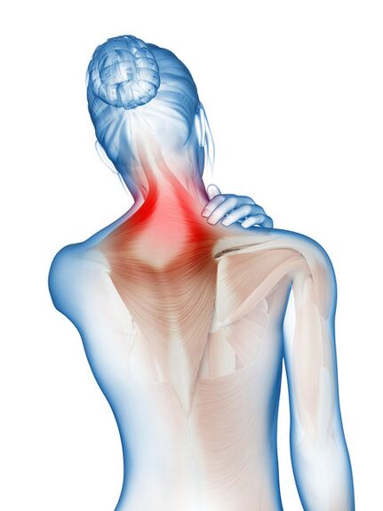 Inflammation and pain in the muscles and joints - the reason for using Motion Energy