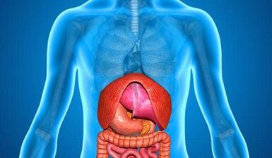Diseases that cause lower back pain