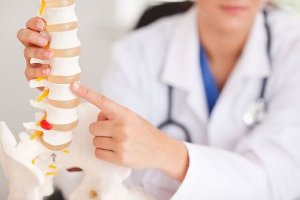 doctor presents a model of the spine